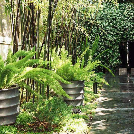 Clever Landscaping - stylish transition from the front to the back yard
