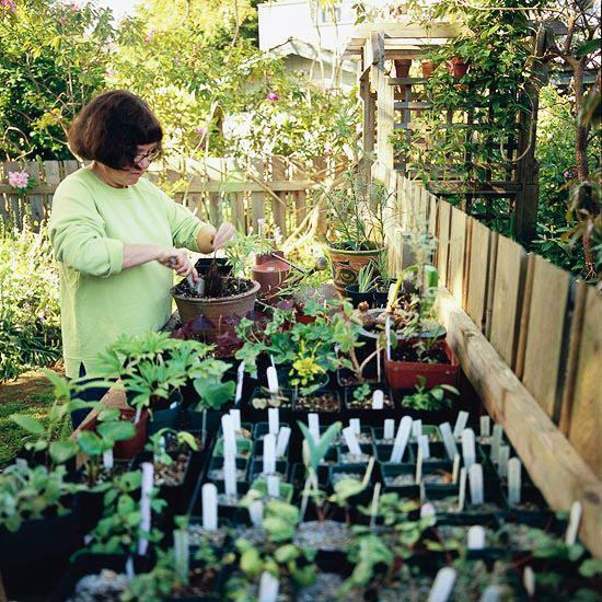 Clever Landscaping - stylish transition from the front to the back yard