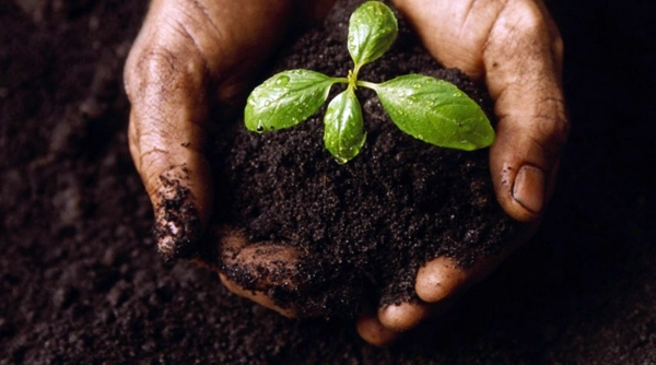 Time to plan the garden design: Get ready for spring