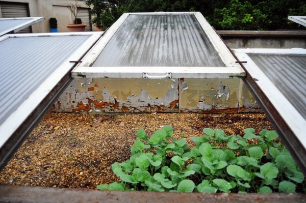 Time to plan the garden design: Get ready for spring