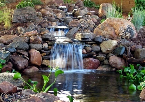 10 Cool Water Garden Ideas – Whimsical, naturalistic garden design