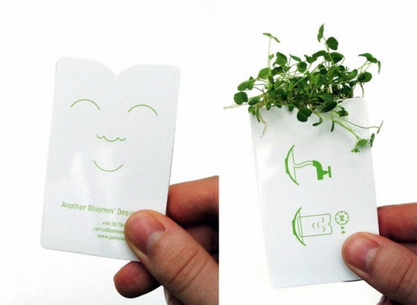 Green home accessories inspired ideas from nature Green home accessories inspired ideas from nature