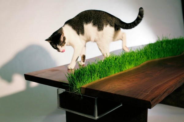 Green home accessories inspired ideas from nature Green home accessories inspired ideas from nature