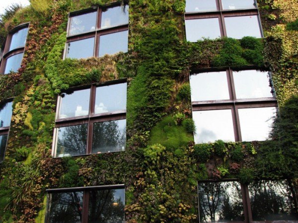 Green home accessories inspired ideas from nature Green home accessories inspired ideas from nature