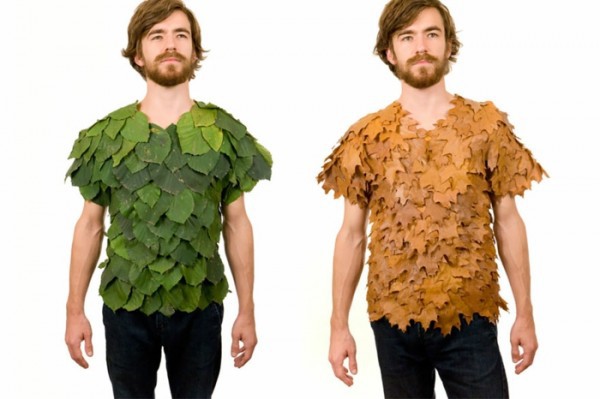 Green home accessories inspired ideas from nature Green home accessories inspired ideas from nature