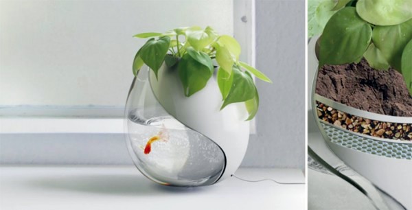 Green home accessories inspired ideas from nature Green home accessories inspired ideas from nature