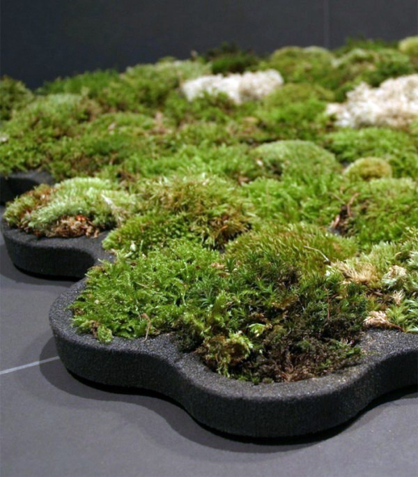 Green home accessories inspired ideas from nature