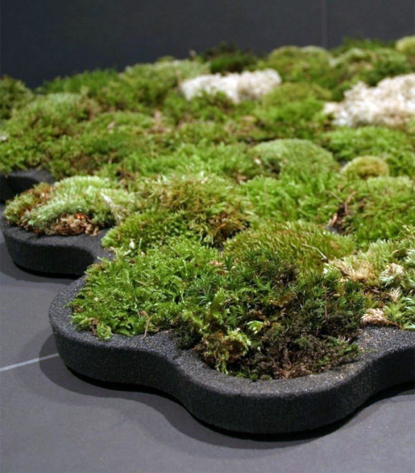 Green home accessories inspired ideas from nature Green home accessories inspired ideas from nature