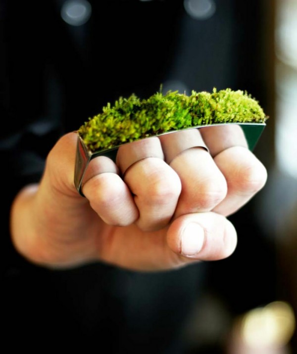 Green home accessories inspired ideas from nature Green home accessories inspired ideas from nature