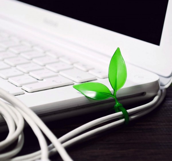 Green home accessories inspired ideas from nature Green home accessories inspired ideas from nature