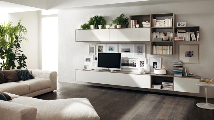 Living room interior design ideas in minimalist style
