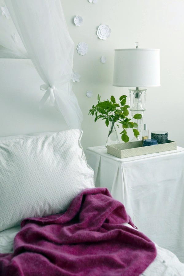 Sturdy houseplants - popular, easy care potted plants