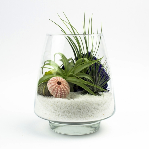 Sturdy houseplants - popular, easy care potted plants