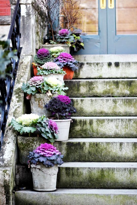 design tips - Tips to develop a city garden design tips - Tips to develop a city garden