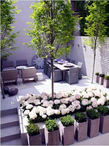 decorating ideas - Tips to develop a city garden