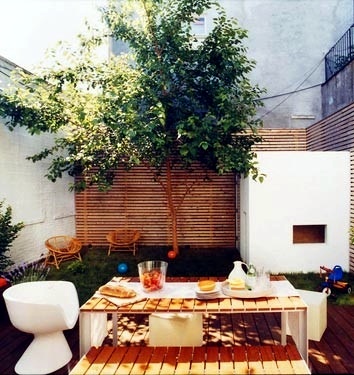 Tips to develop a city garden Tips to develop a city garden