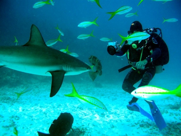 Top 10 Extreme Travel Adventure - Bring the adrenalin going! Top 10 Extreme Travel Adventure - Bring the adrenalin going!