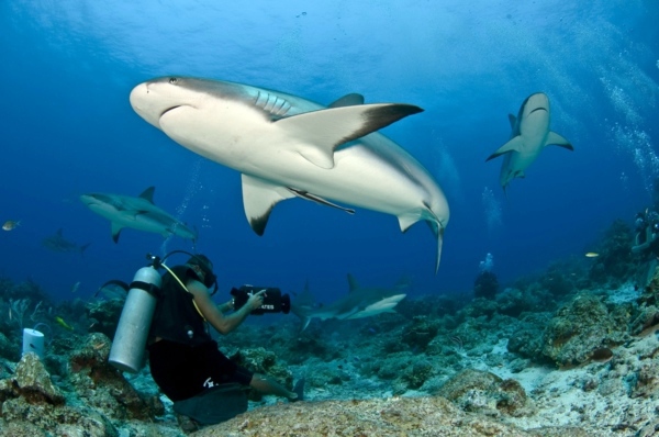 Top 10 Extreme Travel Adventure - Bring the adrenalin going! Top 10 Extreme Travel Adventure - Bring the adrenalin going!