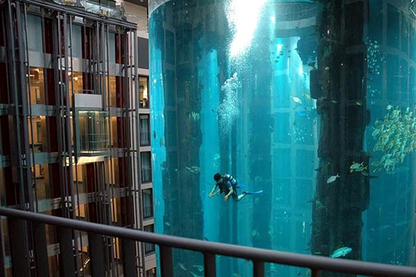 Top 5: The most amazing giant aquariums in the world