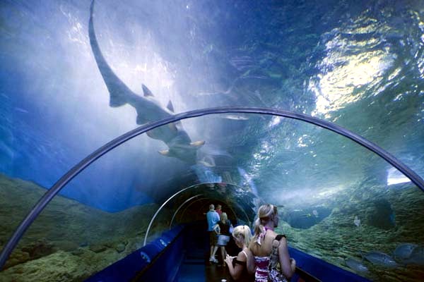 Top 5: The most amazing giant aquariums in the world Top 5: The most amazing giant aquariums in the world