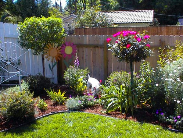 garden small english budget landscape gardens landscaping rose plan backyard country cottage plants gardening designs avso space choose tree backyards