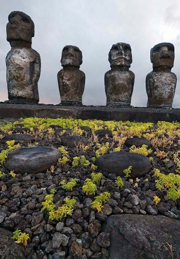 The amazing Easter Island - Take a tour through our great photo gallery The amazing Easter Island - Take a tour through our great photo gallery