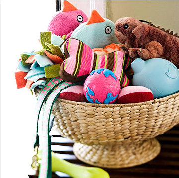 decorating ideas - How to decorate when we have animals? decorating ideas - How to decorate when we have animals?