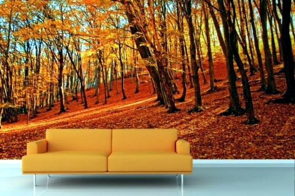 Murals Forest - Enjoy the tranquility of nature! Wall Murals with forest motifs make this possible at home!