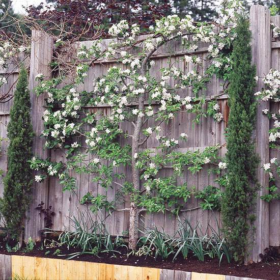Creative garden design - space saving ideas