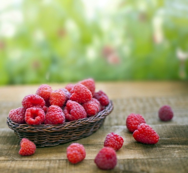 Gartengestaltung - Raspberries in the garden planting - useful tips Gartengestaltung - Raspberries in the garden planting - useful tips