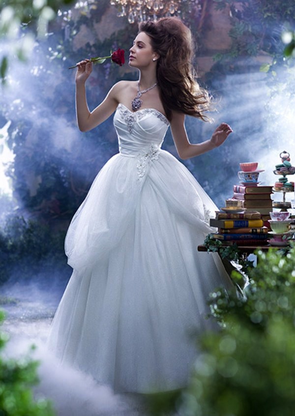 Beautiful princess sales dress