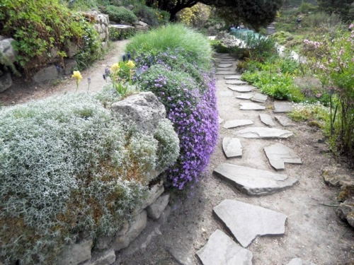 Garten & Pflanzen - Landscaping with perennials, which come from the high mountains Garten & Pflanzen - Landscaping with perennials, which come from the high mountains
