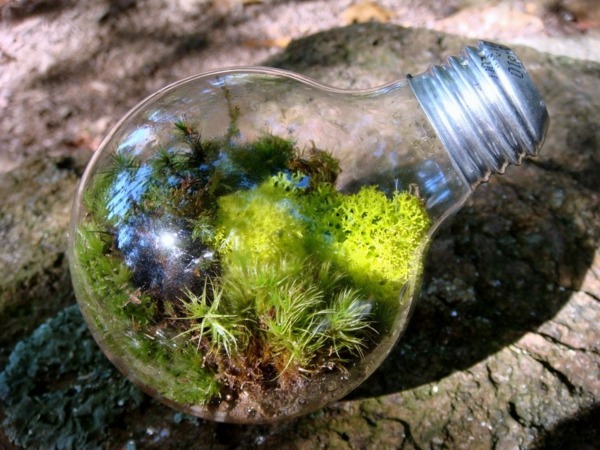 DIY decoration from bulbs - 120 craft ideas for old light bulbs DIY decoration from bulbs - 120 craft ideas for old light bulbs