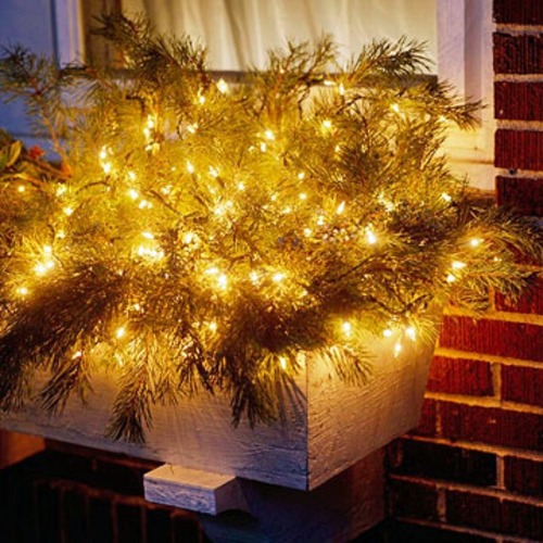 Festive garden lighting for Christmas  Avso