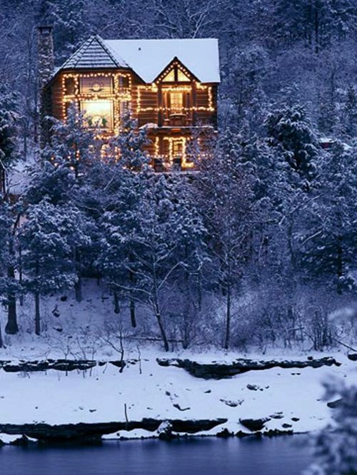 Festive garden lighting for Christmas | Interior Design Ideas | AVSO.ORG