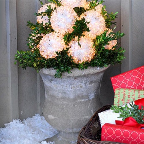 Festive garden lighting for Christmas