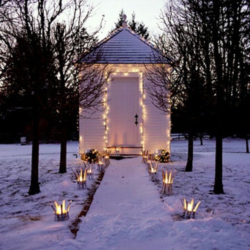 Festive garden lighting for Christmas