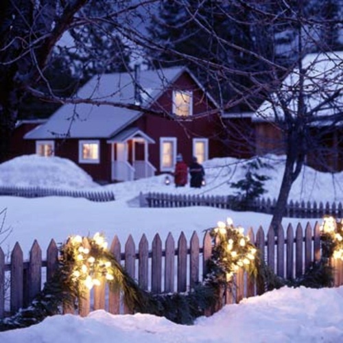 Festive garden lighting for Christmas Festive garden lighting for Christmas