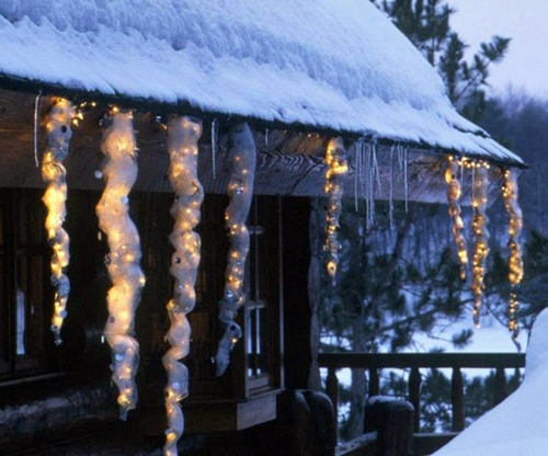 Festive garden lighting for Christmas