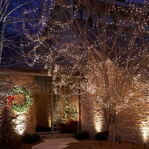 Festive garden lighting for Christmas