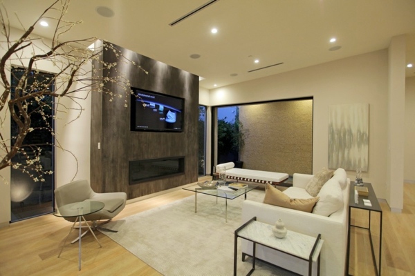 Modern luxury house with water features and modern design