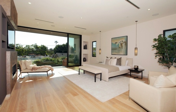 Modern luxury house with water features and modern design