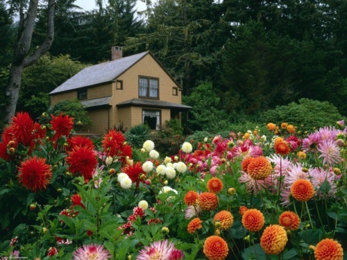 Gartengestaltung - The successful garden design requires effort, effort, and a strong desire Gartengestaltung - The successful garden design requires effort, effort, and a strong desire