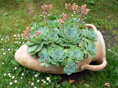 The successful garden design requires effort, effort, and a strong desire The successful garden design requires effort, effort, and a strong desire