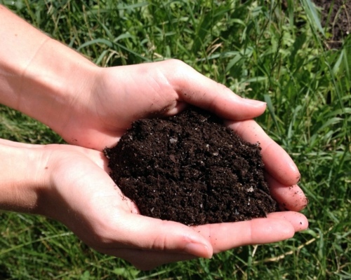 The successful garden design requires effort, effort, and a strong desire The successful garden design requires effort, effort, and a strong desire
