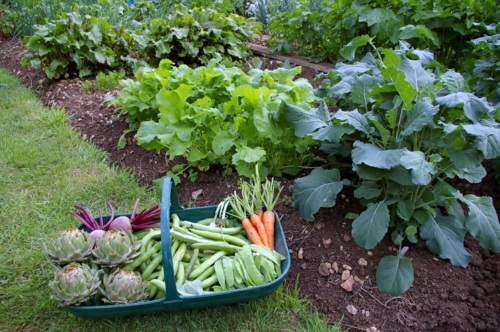 The successful garden design requires effort, effort, and a strong desire The successful garden design requires effort, effort, and a strong desire
