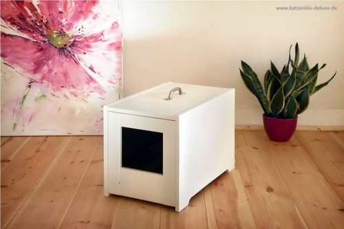 Feng Shui advice - find the best place for the litter box