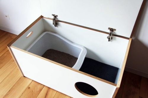 Feng Shui advice - find the best place for the litter box