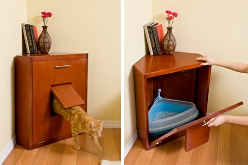  Feng  Shui  advice find the best place for the litter  box 