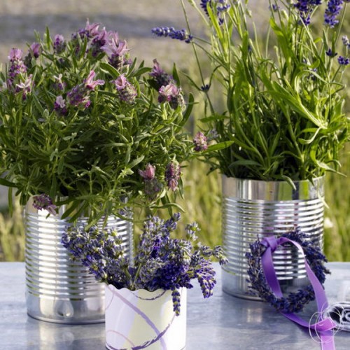 25 Ideas for home decoration with lavender 25 Ideas for home decoration with lavender